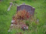 image of grave number 909115